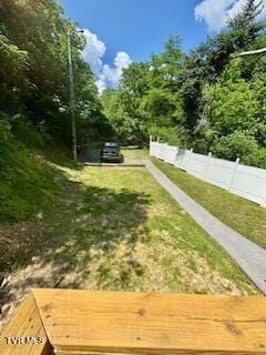 3219 Hardy Hollow Rd, Saint Paul, VA 24283 - view of yard