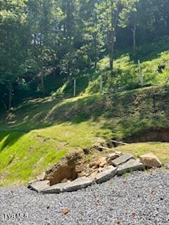 3219 Hardy Hollow Rd, Saint Paul, VA 24283 - view of yard