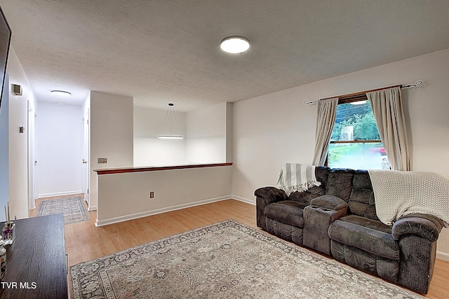 220 Tallman Dr, Blountville, TN 37617 - living room with light wood finished floors and a textured ceiling