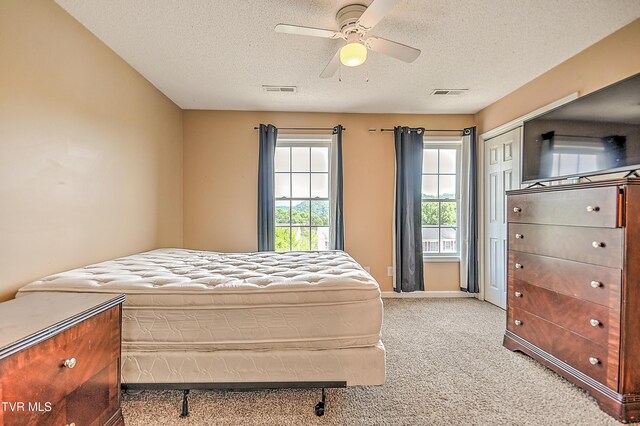 49 Tulip Grove Cir Unit 6, Bristol, TN 37620 - bedroom with light colored carpet, multiple windows, a textured ceiling, and ceiling fan