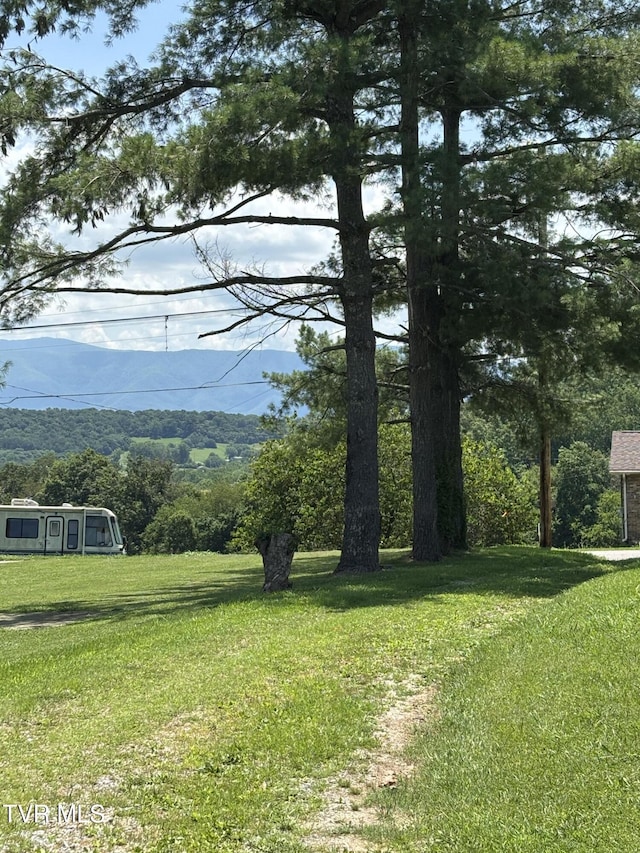 2160 Whirlwind Rd, Greeneville, TN 37743 - photo 21