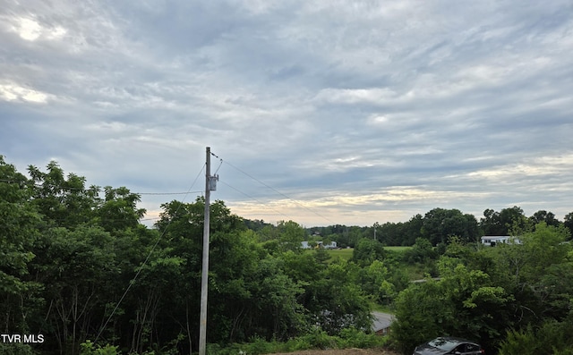 5875 Blue Springs Pkwy, Mosheim, TN 37818 - view of mountain background