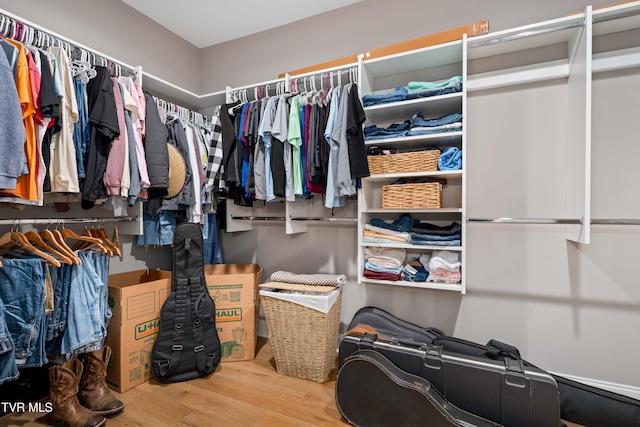 187 Tanners Cv, Johnson City, TN 37615 - spacious closet featuring wood finished floors