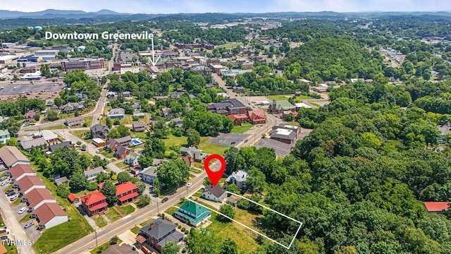 417 W Main St, Greeneville, TN 37743 - photo 3