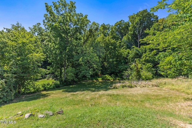417 W Main St, Greeneville, TN 37743 - photo 26
