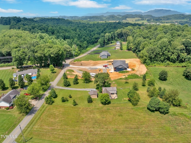 104 Kincheloe Rd, Fall Branch, TN 37656 - aerial view of sparsely populated area featuring a forest and a mountainous background