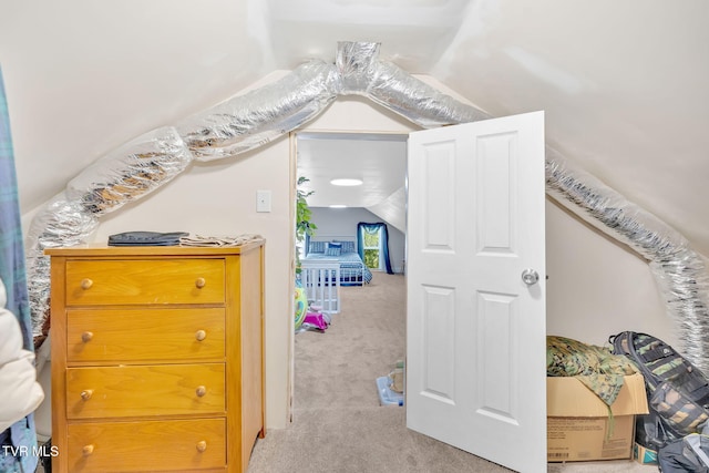 104 Kincheloe Rd, Fall Branch, TN 37656 - bedroom with vaulted ceiling and carpet flooring