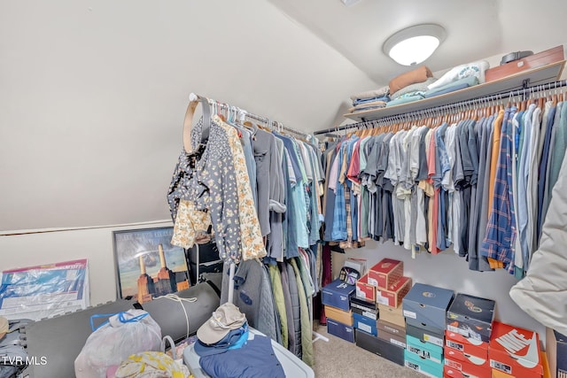 104 Kincheloe Rd, Fall Branch, TN 37656 - spacious closet featuring carpet and lofted ceiling