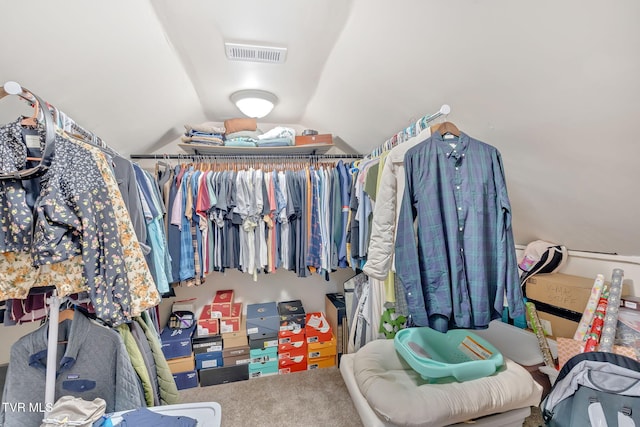 104 Kincheloe Rd, Fall Branch, TN 37656 - walk in closet featuring vaulted ceiling and carpet
