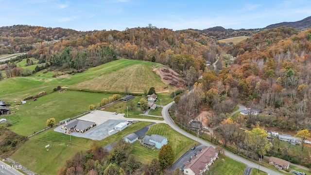 135 Minton Hollow Rd, Elizabethton, TN 37643 - photo 6