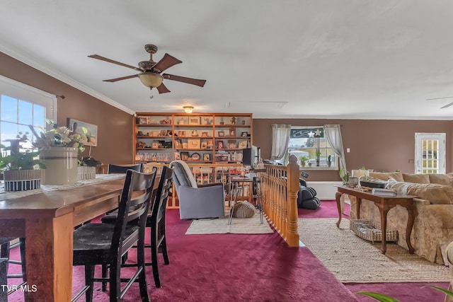 135 Minton Hollow Rd, Elizabethton, TN 37643 - photo 28