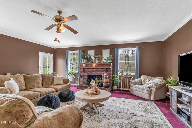 135 Minton Hollow Rd, Elizabethton, TN 37643 - photo 33