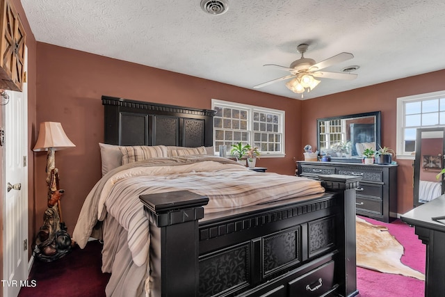135 Minton Hollow Rd, Elizabethton, TN 37643 - photo 45