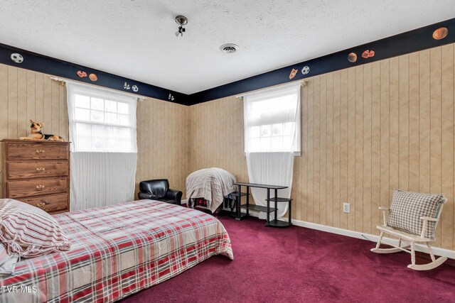 135 Minton Hollow Rd, Elizabethton, TN 37643 - photo 49