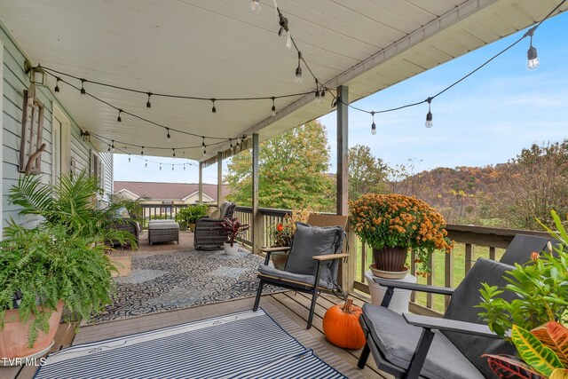 135 Minton Hollow Rd, Elizabethton, TN 37643 - photo 53