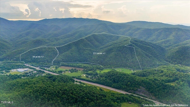 Tbd Garland Meadows Lane, Erwin, TN 37650 - photo 1