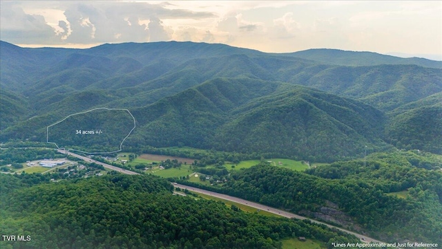 Tbd Garland Meadows Lane, Erwin, TN 37650 - photo 8