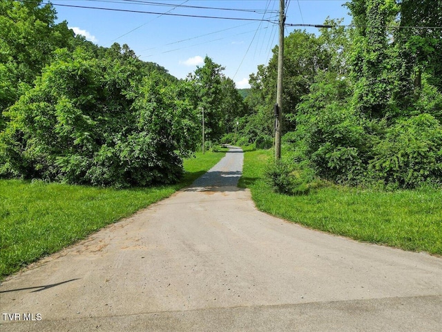 Tbd Garland Meadows Lane, Erwin, TN 37650 - photo 21