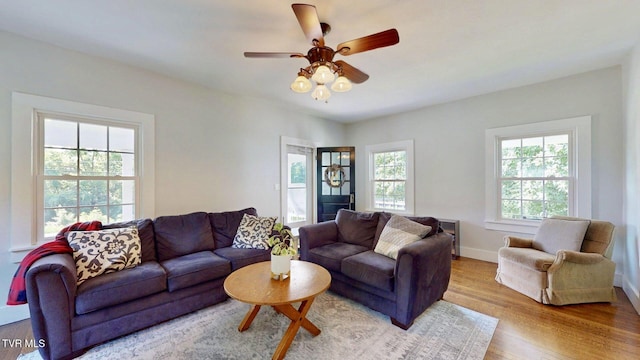 1650 Asheville Hwy, Greeneville, TN 37743 - photo 6