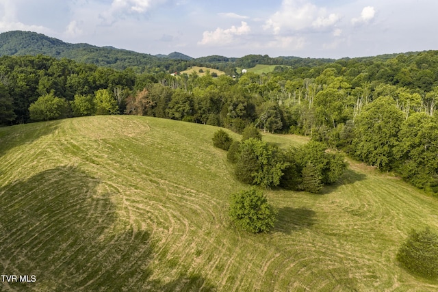 999 Muddy Creek Rd, Piney Flats, TN 37686