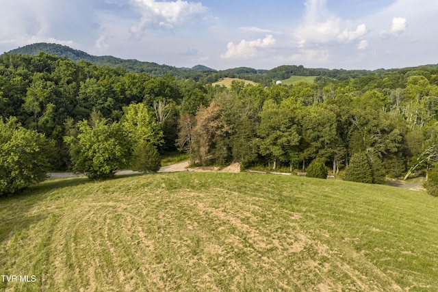 999 Muddy Creek Rd, Piney Flats, TN 37686