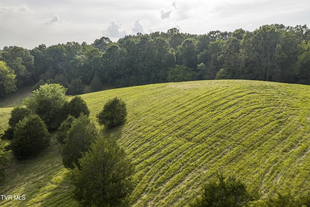 999 Muddy Creek Rd, Piney Flats, TN 37686