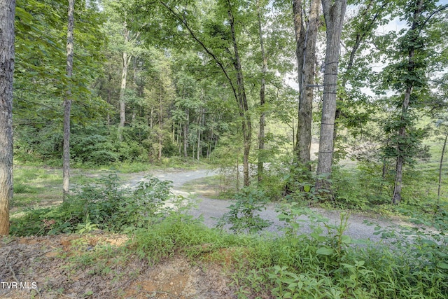 999 Muddy Creek Rd, Piney Flats, TN 37686