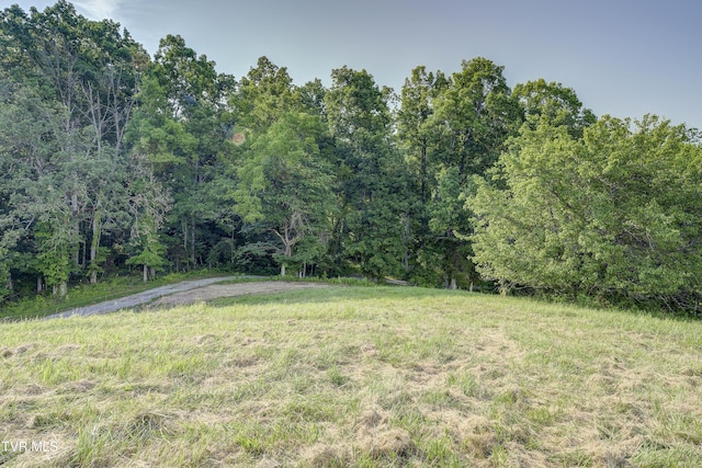 999 Muddy Creek Rd, Piney Flats, TN 37686