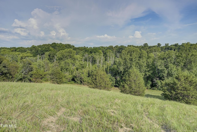 999 Muddy Creek Rd, Piney Flats, TN 37686