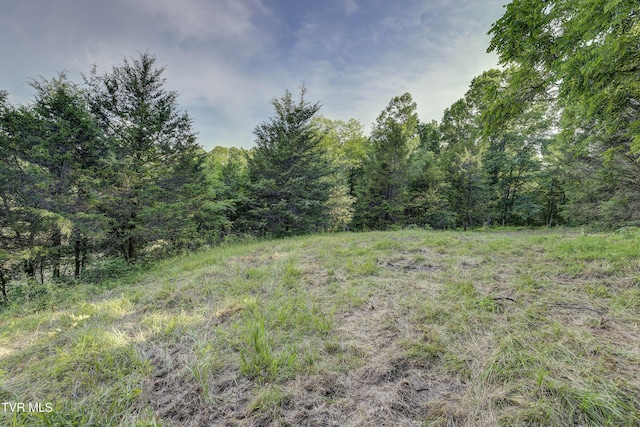 999 Muddy Creek Rd, Piney Flats, TN 37686