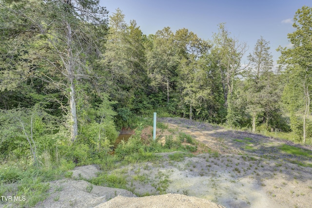 999 Muddy Creek Rd, Piney Flats, TN 37686