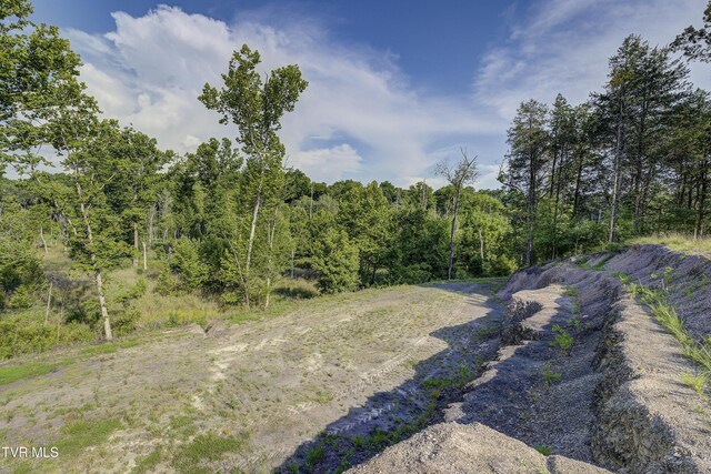 999 Muddy Creek Rd, Piney Flats, TN 37686