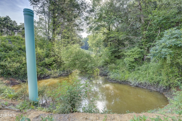 999 Muddy Creek Rd, Piney Flats, TN 37686