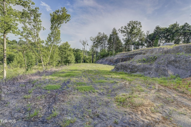 999 Muddy Creek Rd, Piney Flats, TN 37686