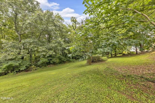 700 Sharon Dr, Johnson City, TN 37604 - view of green lawn