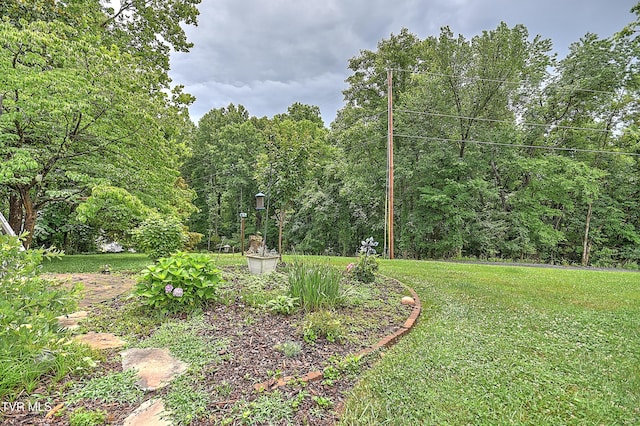 11 Windridge Ct Unit 11, Johnson City, TN 37601 - photo 45