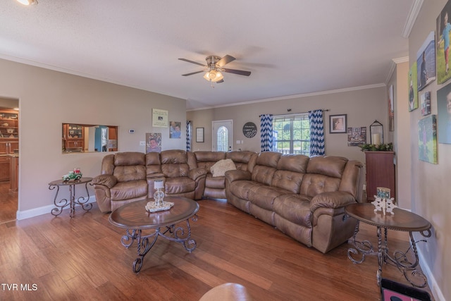 102 E Point Trce, Greeneville, TN 37745 - living room featuring wood finished floors, a ceiling fan, and crown molding