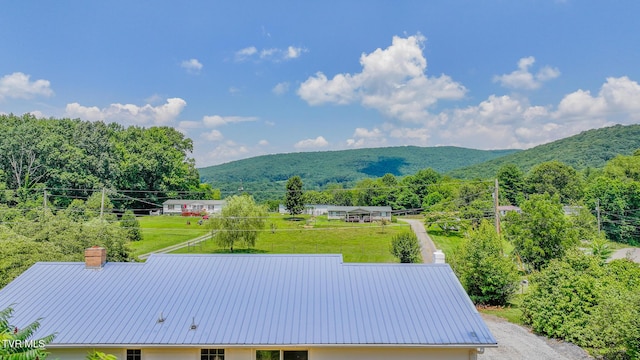206 Spring Hollow Rd, Marion, VA 24354 - photo 27