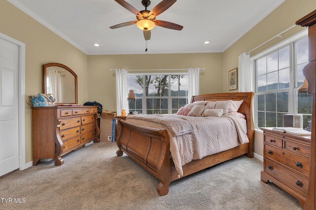 292 Old Railroad Grade Rd, Roan Mountain, TN 37687 - photo 31