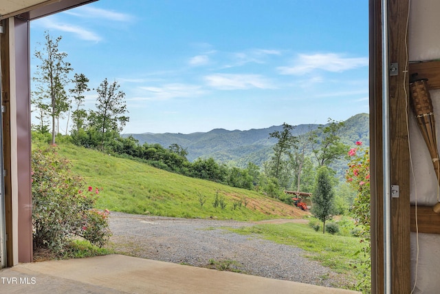 292 Old Railroad Grade Rd, Roan Mountain, TN 37687 - photo 47
