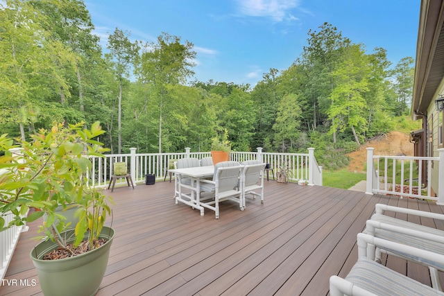 292 Old Railroad Grade Rd, Roan Mountain, TN 37687 - photo 49