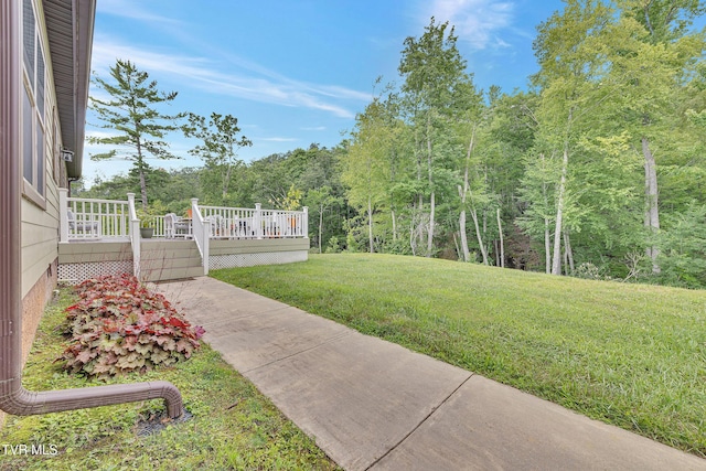 292 Old Railroad Grade Rd, Roan Mountain, TN 37687 - photo 50