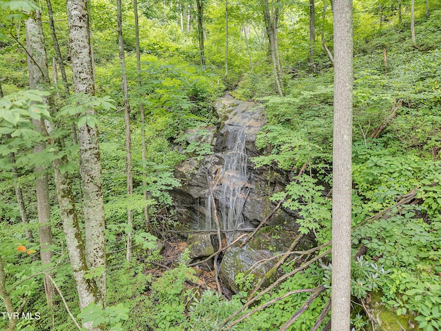 292 Old Railroad Grade Rd, Roan Mountain, TN 37687 - photo 55