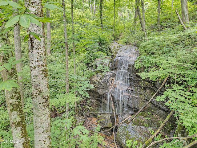 292 Old Railroad Grade Rd, Roan Mountain, TN 37687 - photo 56