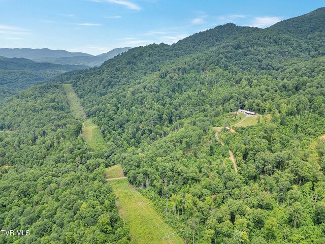 292 Old Railroad Grade Rd, Roan Mountain, TN 37687 - photo 60