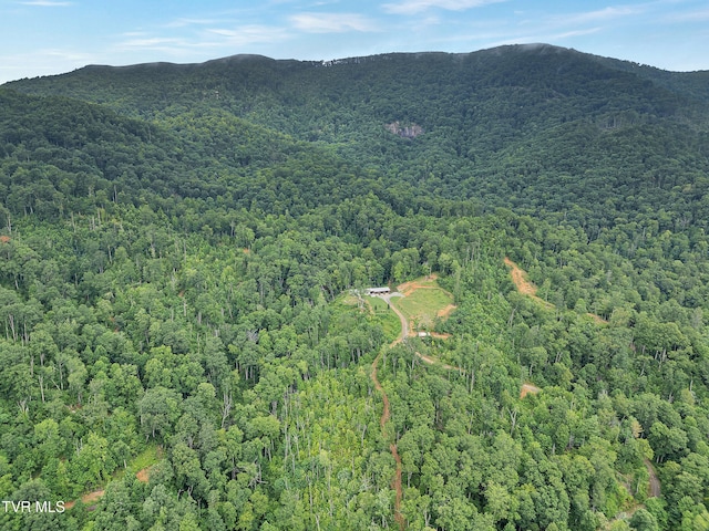 292 Old Railroad Grade Rd, Roan Mountain, TN 37687 - photo 62