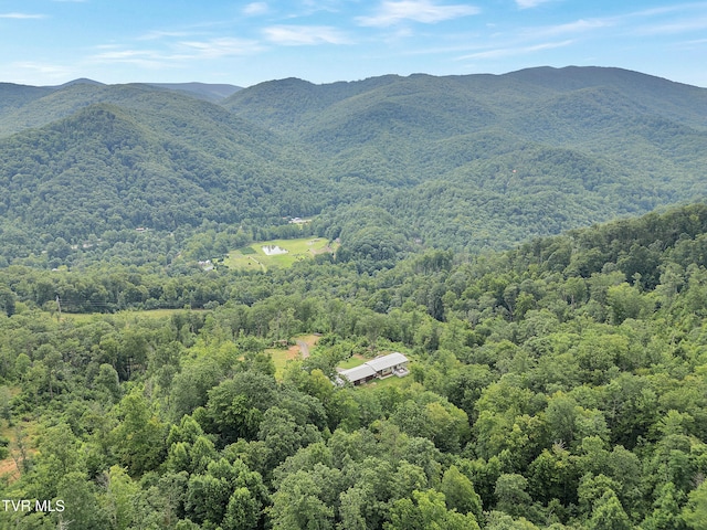 292 Old Railroad Grade Rd, Roan Mountain, TN 37687 - photo 63