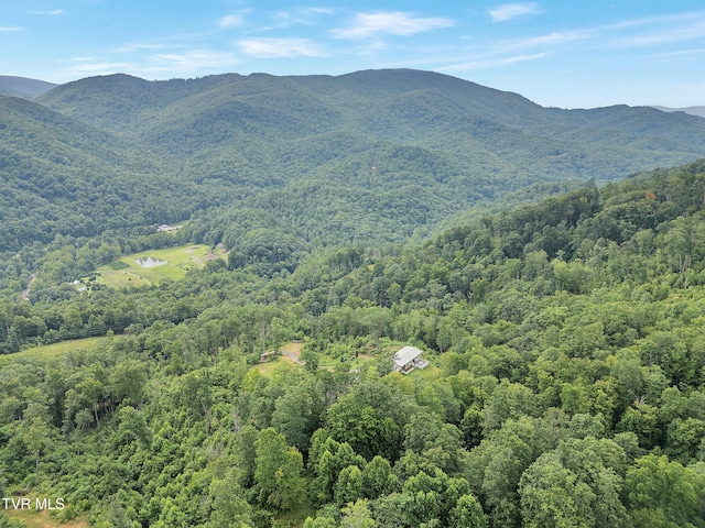 292 Old Railroad Grade Rd, Roan Mountain, TN 37687 - photo 64