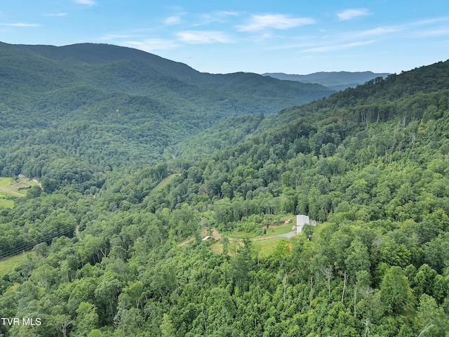 292 Old Railroad Grade Rd, Roan Mountain, TN 37687 - photo 65