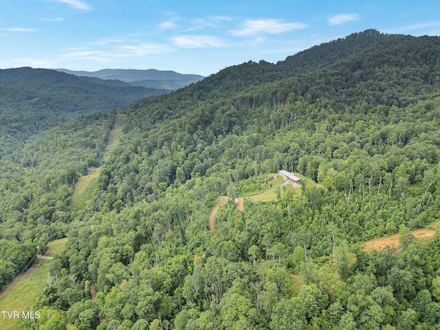 292 Old Railroad Grade Rd, Roan Mountain, TN 37687 - photo 66